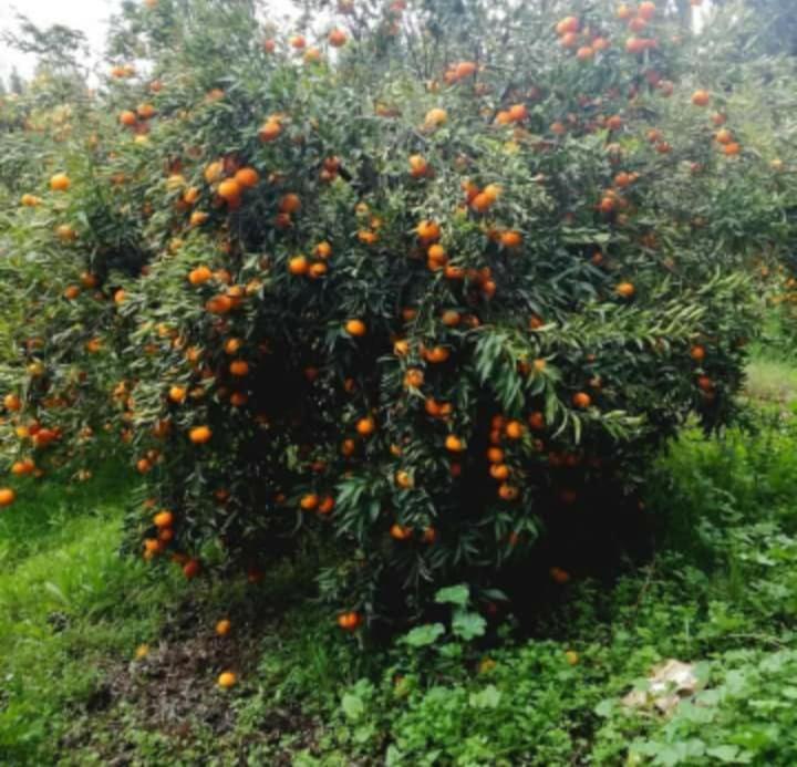 Penzion Dar Khedija El Kheriba Exteriér fotografie