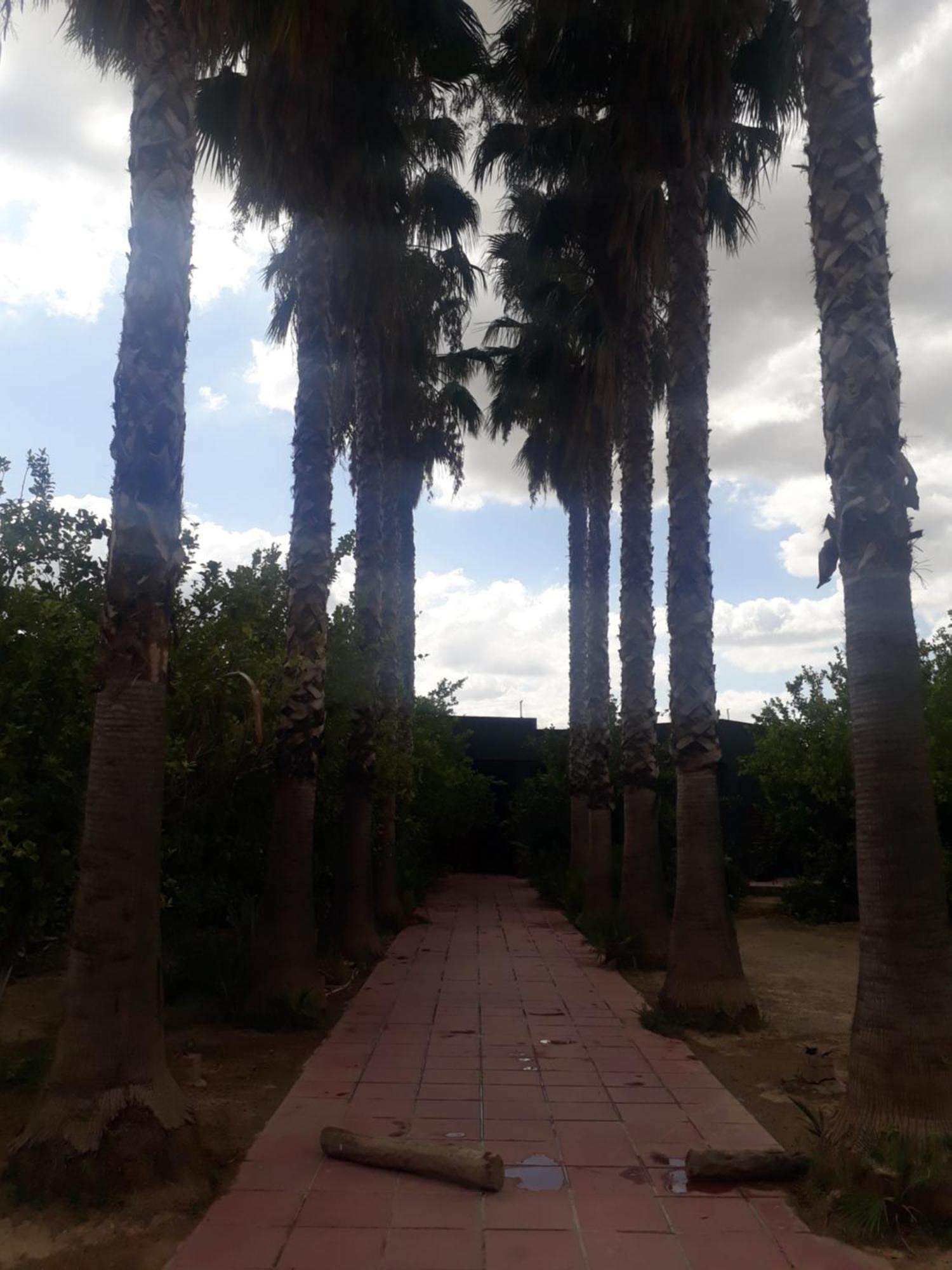 Penzion Dar Khedija El Kheriba Exteriér fotografie